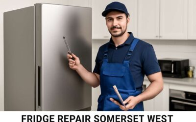 Reliable and Fast Fridge Repair Somerset West – Expert Service You Can Trust
